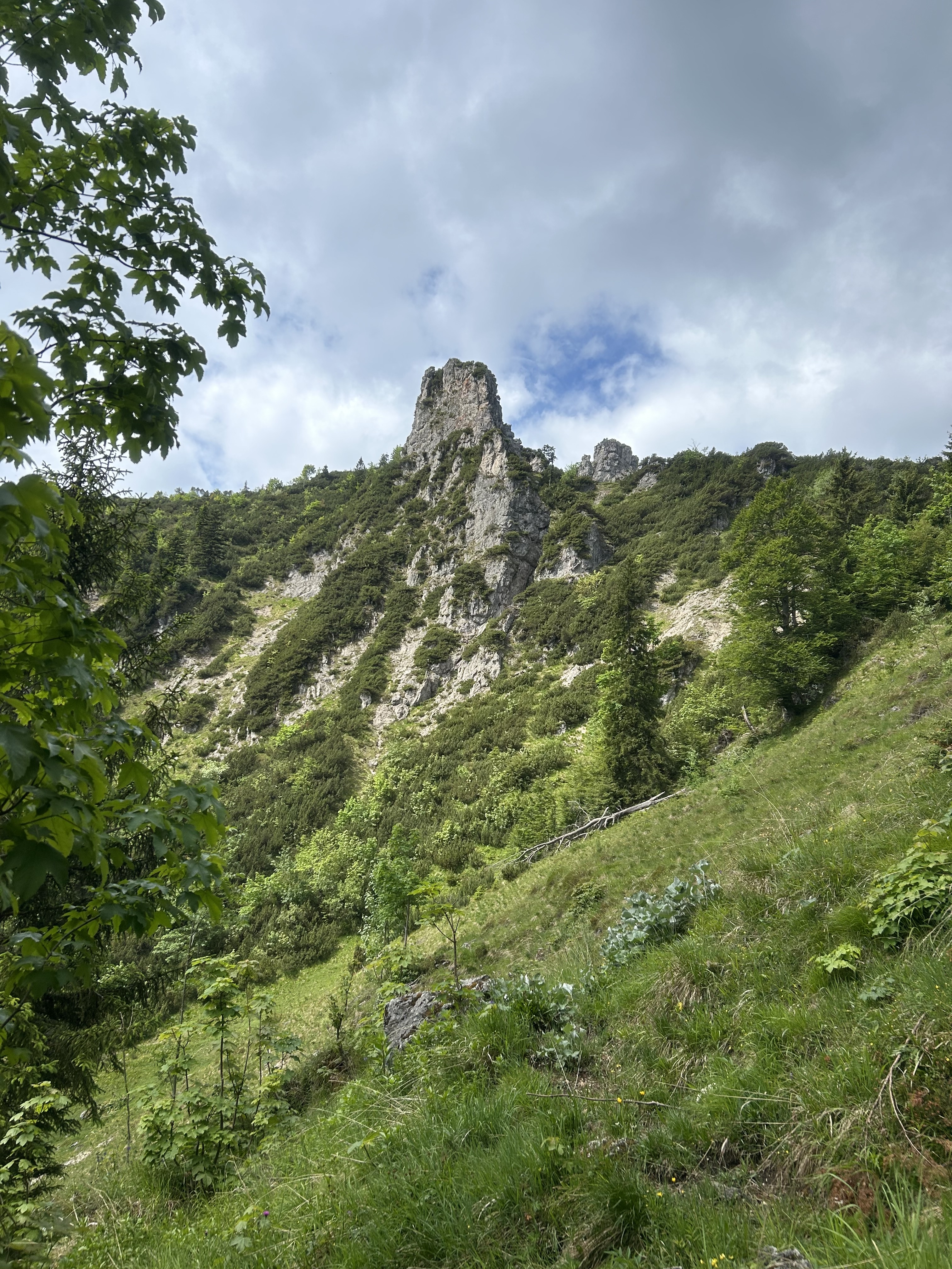 07.06.2026: Blick auf den Spitzstein
